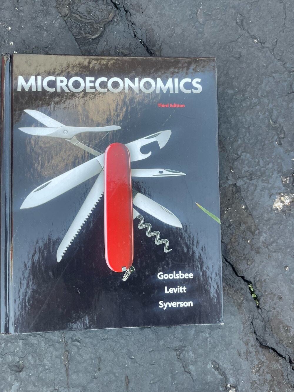 Microeconomics by Goolsbee, Austan, Levitt, Steven, Syverson, Chad